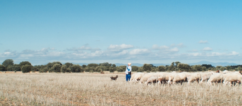inland inland