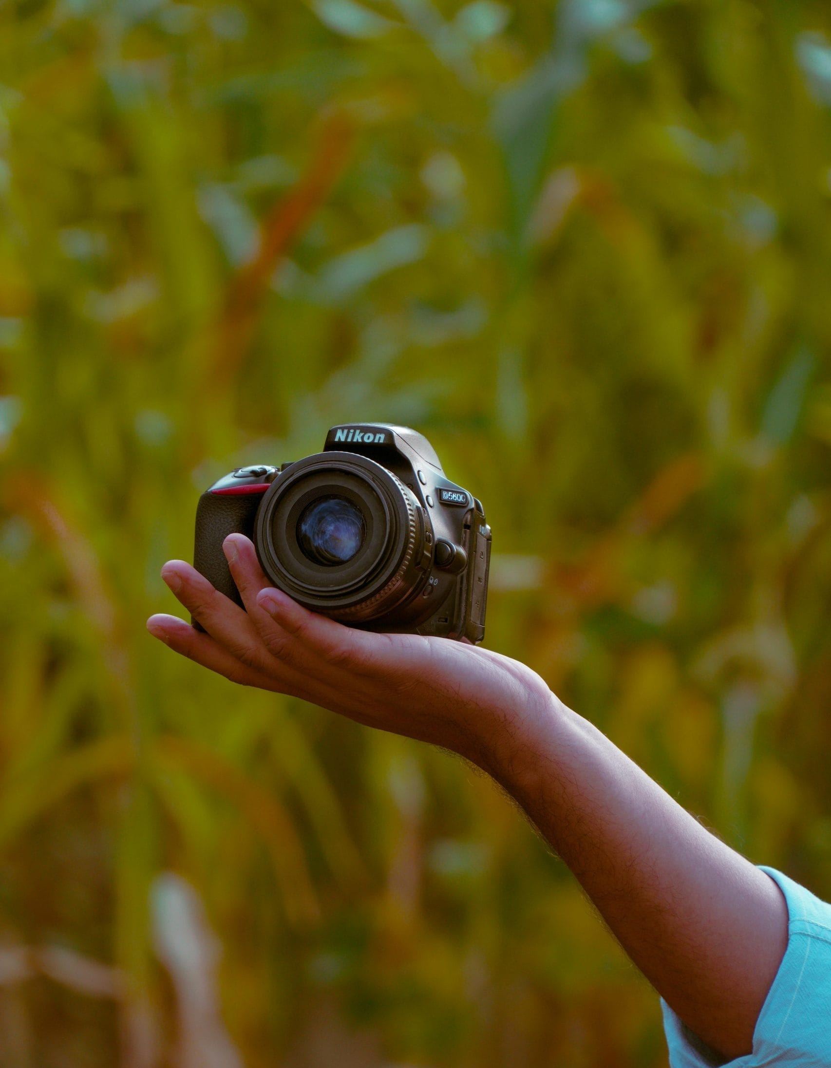 Concours photo